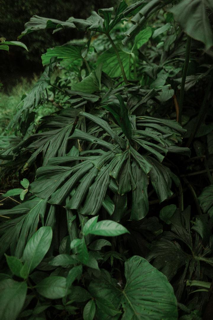 俩女生泡温泉，被漂来的东西恶心坏了！商家：难以防范！